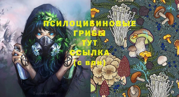 не бодяженный Бородино