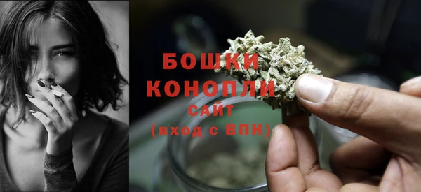 не бодяженный Бородино