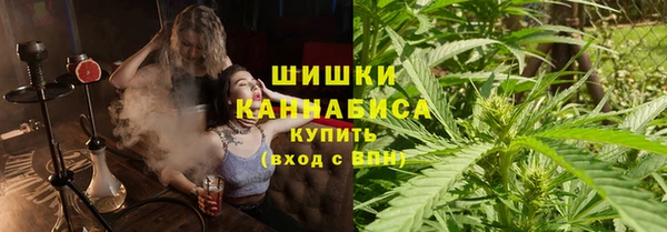 не бодяженный Бородино