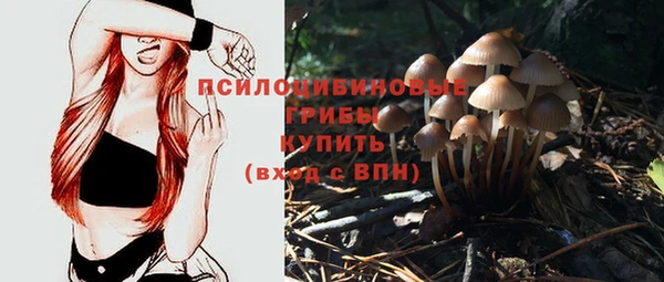 не бодяженный Бородино